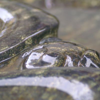 Frosch am Seerosenblatt Tränke aus Naturstein Gartenobjekt