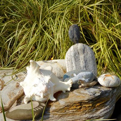 Kieselsteine mit Ornament Taube Möwe Fuss Sonne Geschenkidee Teelicht Kerzenständer Naturstein Männchen Muschel